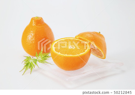 Mineola Orange Orange 50212845