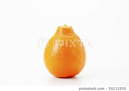 Mineola Orange Orange 50212850