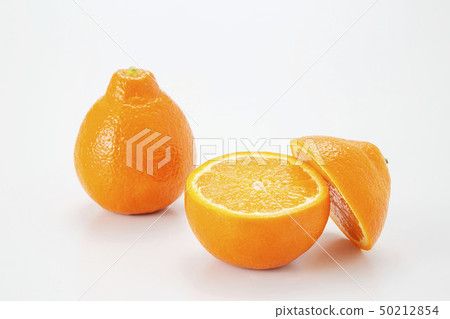 Mineola Orange Orange 50212854