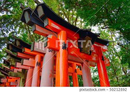 Fushimi Inari (Kyoto) Fushimiinari 50212892