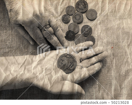Hands of an elderly person. Hands of an elderly person. 50213028