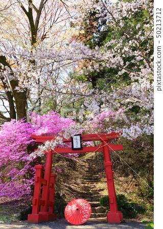 Akiruno City Shrine Sakura Akiruno City Shrine Sakura 50213712