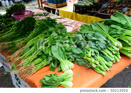 Spinach spinach greens Spinach spinach greens 50213950