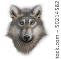 wolf 50214582