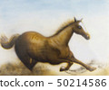 Horse  50214586