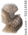 eagle 50214588