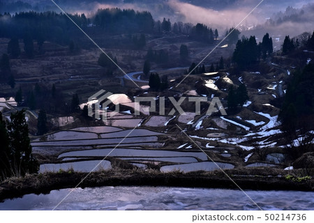 Niigata Matsushiro Hoshiage Tanada與晨霧和剩餘的雪 50214736