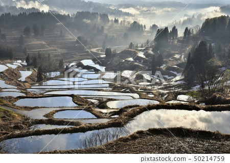 Niigata Matsushiro Hoshiage Tanada與晨霧和剩餘的雪 50214759