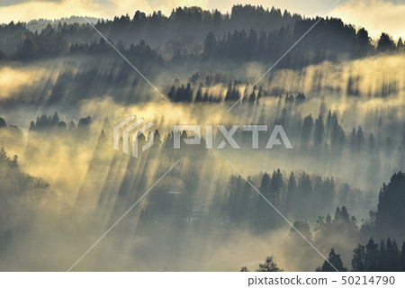 Niigata Matsushiro Hoshiage Tanada with morning mist and remaining snow Niigata Matsushiro Hoshiage Tanada with morning mist and remaining snow 50214790
