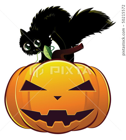Black cat on pumpkin Black cat on pumpkin 50215572