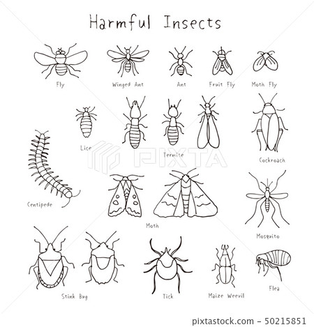 Various pests handwritten illustration 50215851