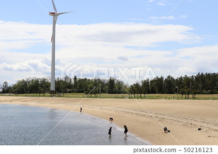 新舞子海洋公園藍太陽海灘泉水玩 新舞子海洋公園藍太陽海灘泉水玩 50216123