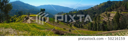 加德滿都谷Nagarucot遠足強姦花露台 50216159