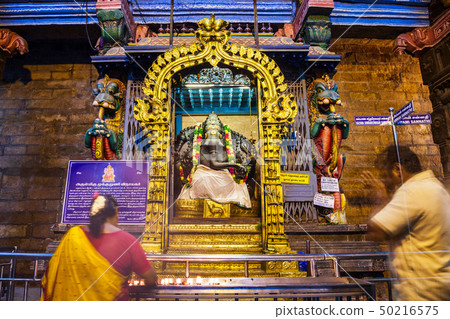 Thousand pillar hall, Meenakshi Temple Thousand pillar hall, Meenakshi Temple 50216575