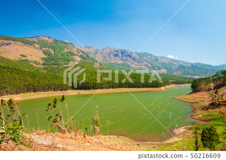 Dam lake near Munnar, India 50216609