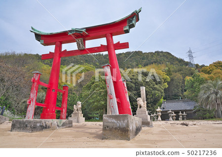[Iwakojima Kashiwajima Shrine]廣島縣尾道市Iwakojima，Mukojima-cho 50217236
