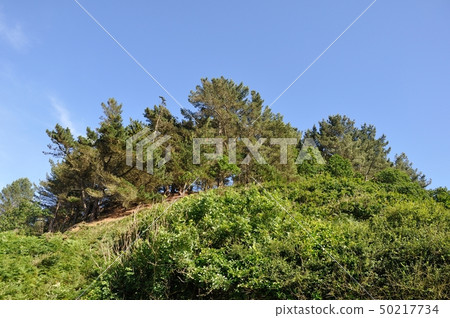 The Brittany coast 50217734