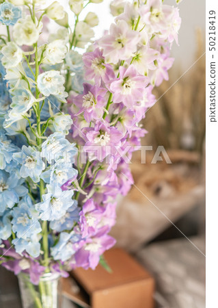 Bunch of fresh delphinium on table. Bouquet of delphinium. gradient flowers from blue to purple 50218419