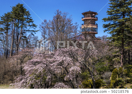 Shinshu Nagano Prefecture Matsumoto City Alpine Park's Weeping Mountain and Nature Museum 50218576