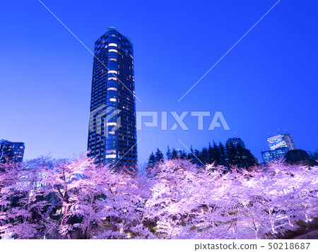 Tokyo Midtown Sakura Light Up 50218687