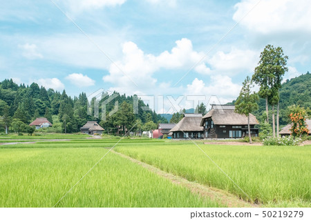 夏天的鄉村景觀(蘆之島環村) 夏天的鄉村景觀(蘆之島環村) 50219279