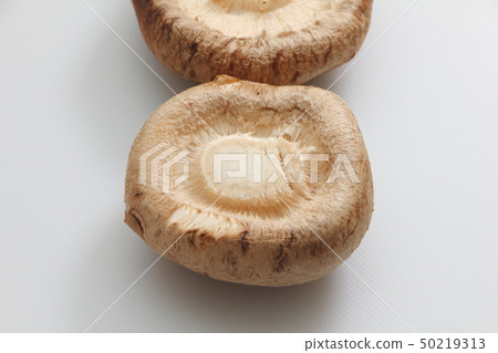 Shiitake umbrella back side. Shiitake umbrella back side. 50219313