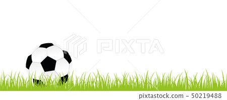 football on green meadow banner with copy space 50219488