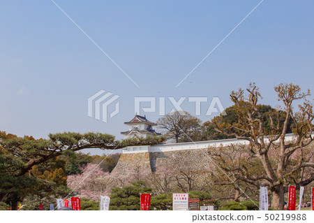 明石城堡和櫻花 明石城堡和櫻花 50219988