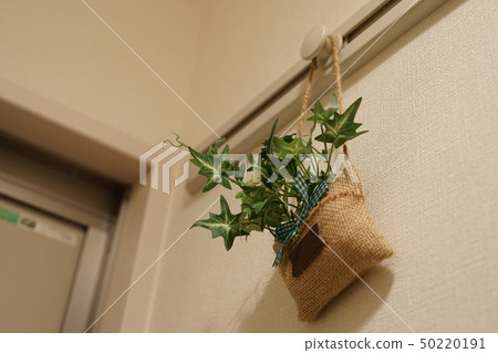 入口內部的人為葉子植物 50220191