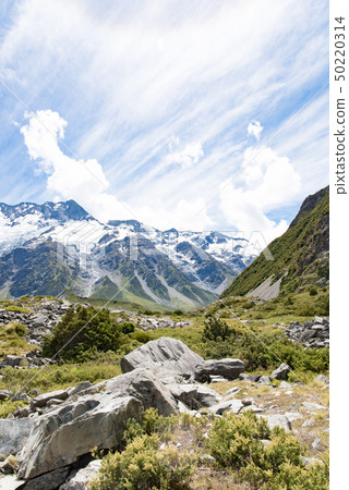 在庫克山國家公園的妓女谷卡車 在庫克山國家公園的妓女谷卡車 50220314