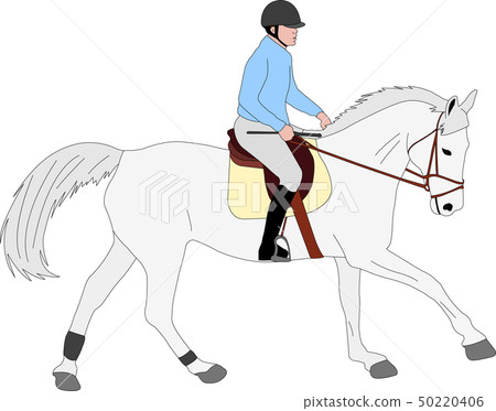 horse riding colored illustration 50220406