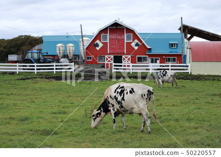 北海道根室的一個農場風景 50220557