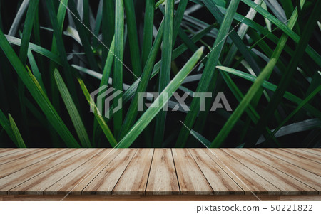 Products display with green leaves background 50221822