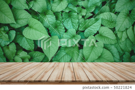 Wooden board leaves background for montage product Wooden board leaves background for montage product 50221824