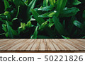 Wooden tabletop products display leaf background 50221826