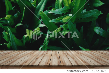 Wooden tabletop products display leaf background Wooden tabletop products display leaf background 50221826