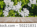 Empty wooden table top with white flower 50221831