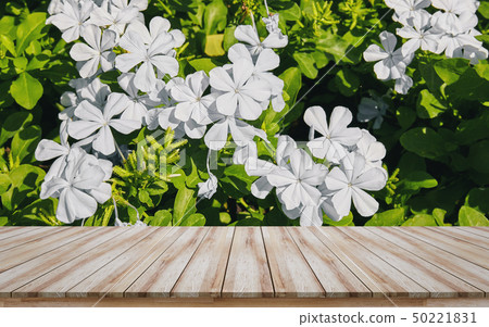 Empty wooden table top with white flower Empty wooden table top with white flower 50221831