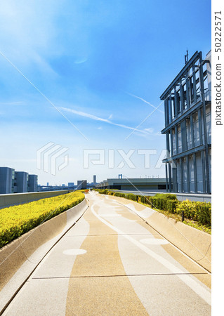 [東京]豐洲市場的屋頂 50222571