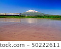 Iwaki山和剩餘的雪的稻田 50222611