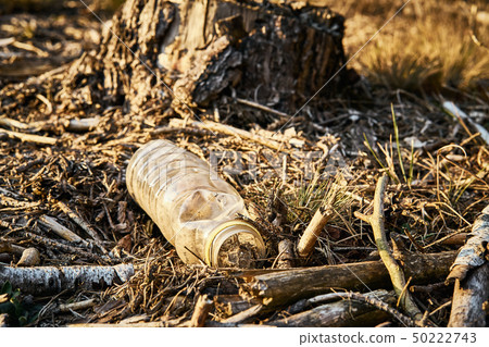 Pollution environment of old plastic bottle in forest Pollution environment of old plastic bottle in forest 50222743