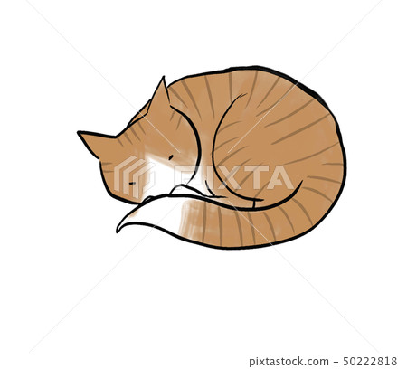 Friendly cat 50222818