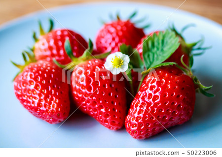Strawberry/Akihime 50223006
