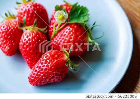 Strawberry/Akihime Strawberry/Akihime 50223009