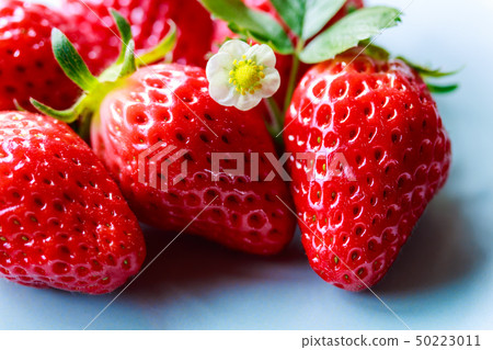 Strawberry/Akihime Strawberry/Akihime 50223011