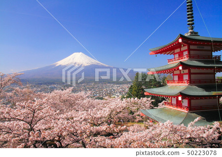 新雪山淺間公園盛開,剩下的雪富士山 新雪山淺間公園盛開,剩下的雪富士山 50223078