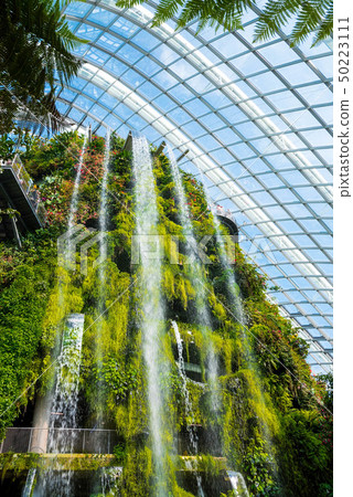 Overseas travel, Asia, Singapore, Singapore Gardens by the Bay 50223111