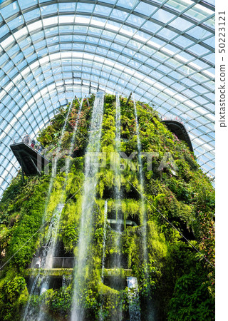 Overseas travel, Asia, Singapore, Singapore Gardens by the Bay 50223121