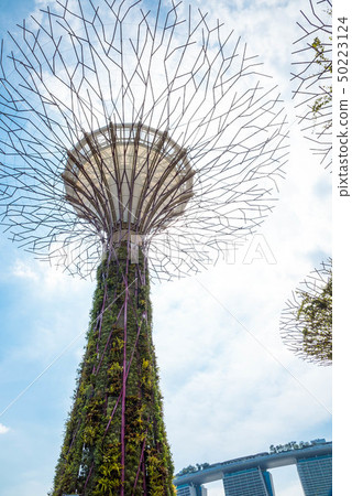 海外旅遊,亞洲,新加坡,新加坡濱海灣花園 海外旅遊,亞洲,新加坡,新加坡濱海灣花園 50223124