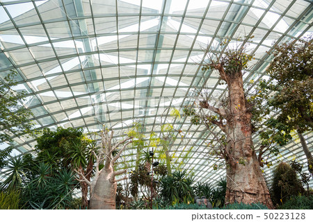 Overseas travel, Asia, Singapore, Singapore Gardens by the Bay Overseas travel, Asia, Singapore, Singapore Gardens by the Bay 50223128